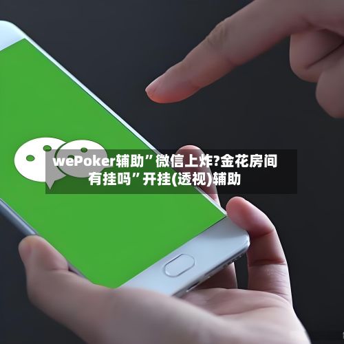 wePoker辅助”微信上炸?金花房间有挂吗”开挂(透视)辅助-第3张图片