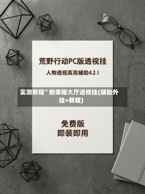实测教程”新荣耀大厅透视挂(辅助外挂+教程)-第2张图片