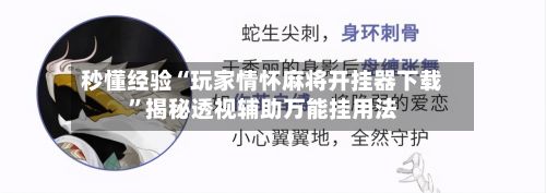 秒懂经验“玩家情怀麻将开挂器下载	”揭秘透视辅助万能挂用法-第2张图片