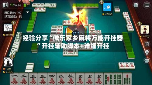 经验分享“微乐家乡麻将万能开挂器”开挂辅助脚本+详细开挂-第3张图片