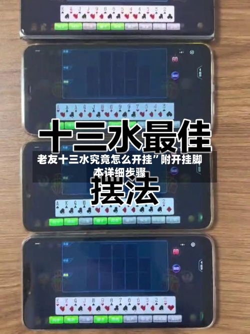 老友十三水究竟怎么开挂”附开挂脚本详细步骤