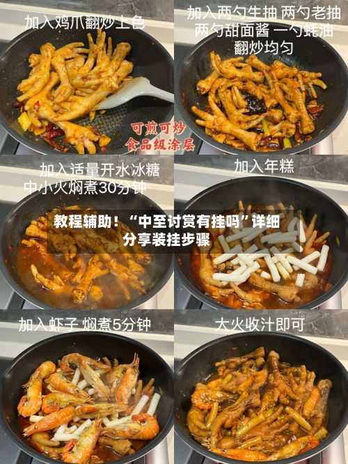 教程辅助！“中至讨赏有挂吗”详细分享装挂步骤-第2张图片