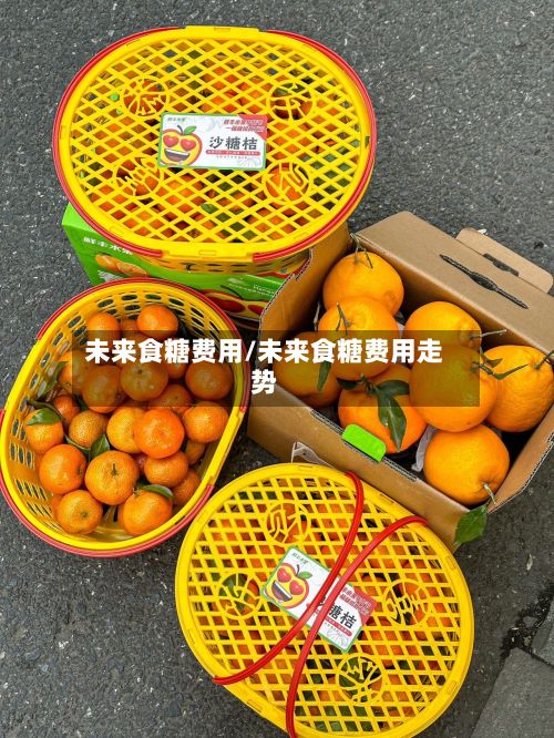 未来食糖费用/未来食糖费用走势-第2张图片