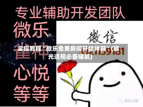 实操教程“微乐免费房间开挂神器	”(曝光透视必备猫腻)-第2张图片