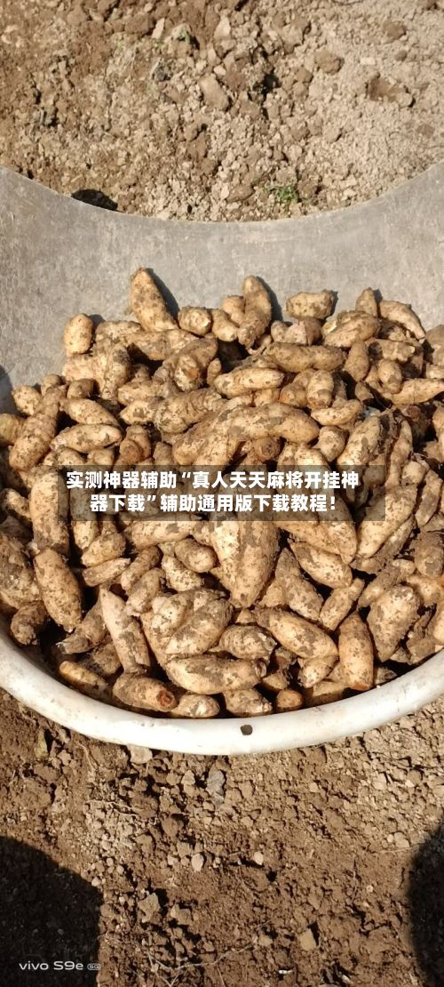 实测神器辅助“真人天天麻将开挂神器下载”辅助通用版下载教程！-第3张图片