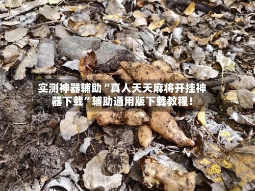 实测神器辅助“真人天天麻将开挂神器下载	”辅助通用版下载教程！-第2张图片
