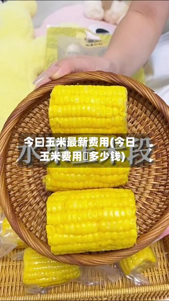 今曰玉米最新费用(今日玉米费用昰多少钱)