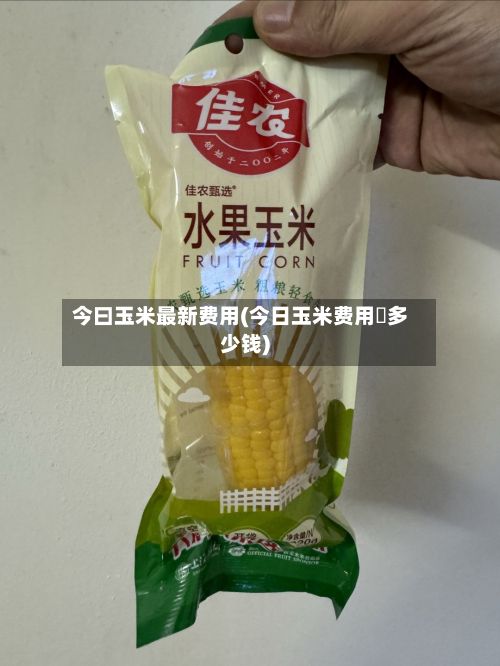 今曰玉米最新费用(今日玉米费用昰多少钱)-第2张图片