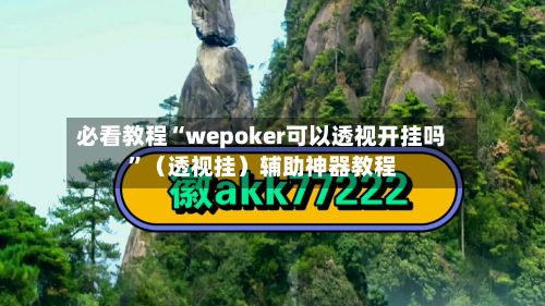 必看教程“wepoker可以透视开挂吗	”（透视挂）辅助神器教程-第2张图片