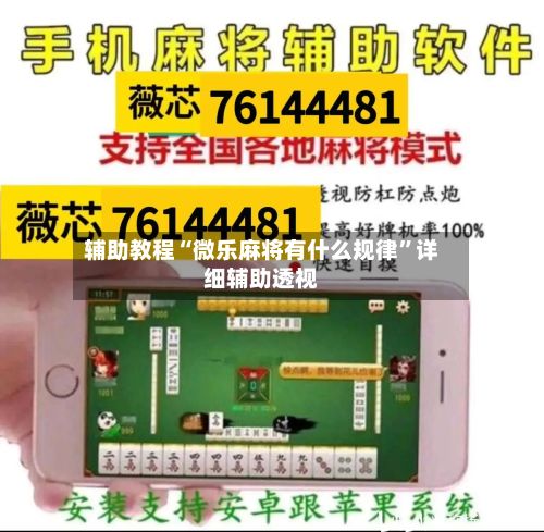 辅助教程“微乐麻将有什么规律	”详细辅助透视-第2张图片