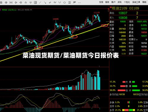 菜油现货期货/菜油期货今日报价表-第2张图片