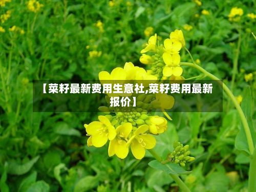 【菜籽最新费用生意社,菜籽费用最新报价】-第2张图片