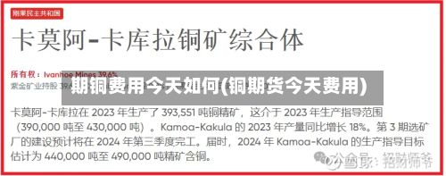 期铜费用今天如何(铜期货今天费用)-第2张图片