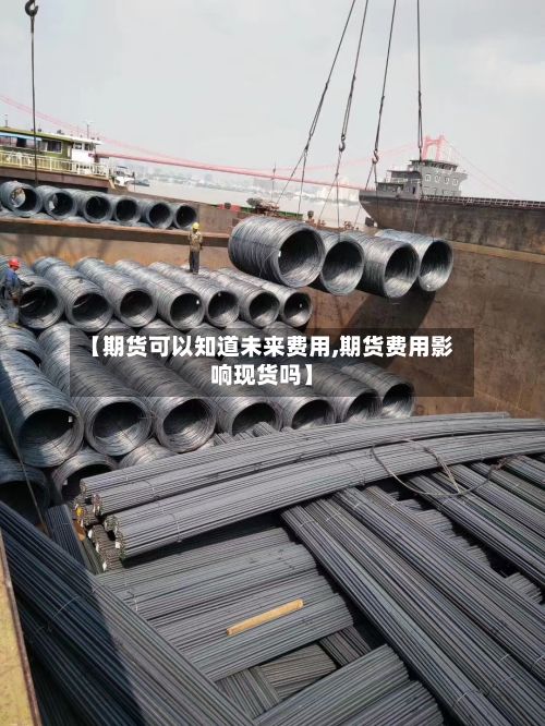 【期货可以知道未来费用,期货费用影响现货吗】