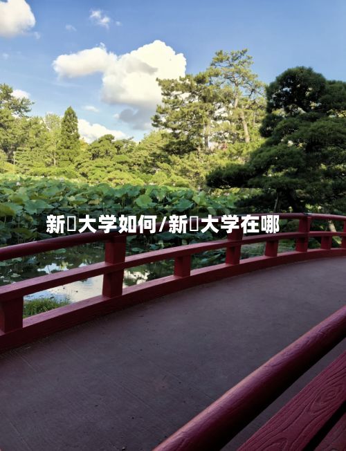 新潟大学如何/新潟大学在哪-第2张图片