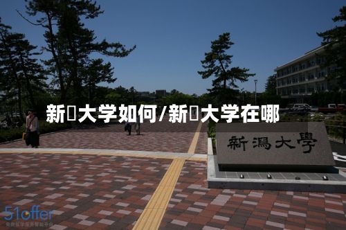 新潟大学如何/新潟大学在哪
