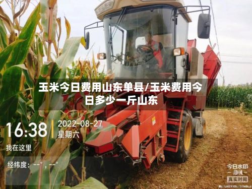 玉米今日费用山东单县/玉米费用今日多少一斤山东-第2张图片