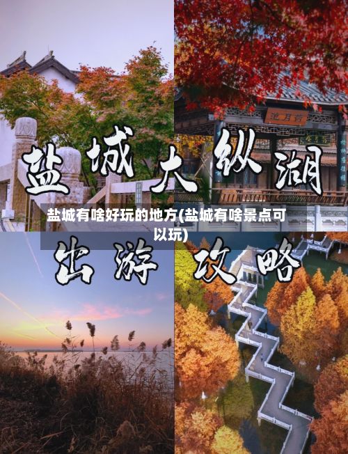 盐城有啥好玩的地方(盐城有啥景点可以玩)-第2张图片