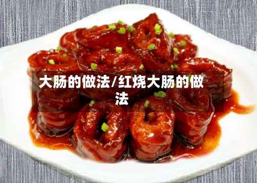 大肠的做法/红烧大肠的做法