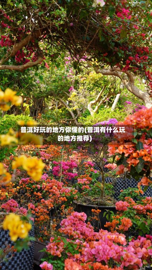 普洱好玩的地方你懂的(普洱有什么玩的地方推荐)