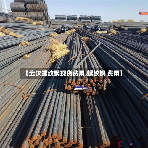 【武汉螺纹钢现货费用,螺纹钢 费用】-第3张图片