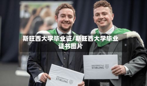 斯旺西大学毕业证/斯旺西大学毕业证书图片