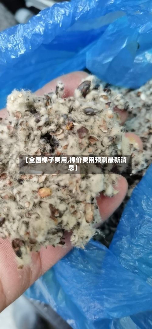 【全国棉子费用,棉价费用预测最新消息】-第2张图片
