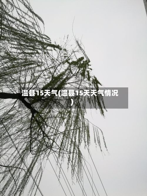 温县15天气(温县15天天气情况)-第3张图片