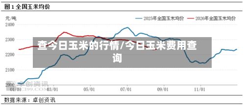 查今日玉米的行情/今日玉米费用查询