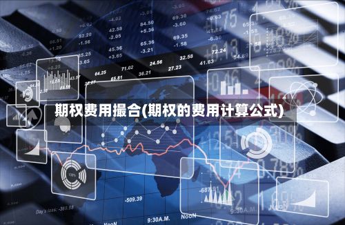 期权费用撮合(期权的费用计算公式)-第2张图片