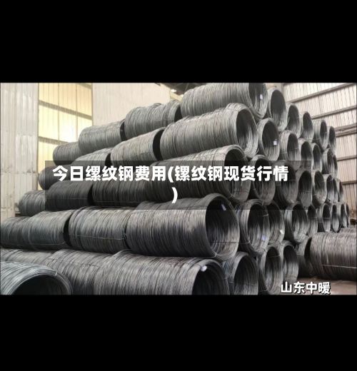 今日缧纹钢费用(镙纹钢现货行情)-第2张图片