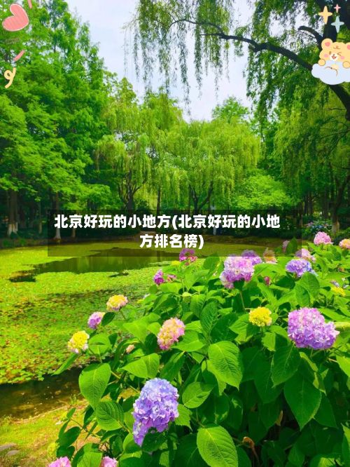 北京好玩的小地方(北京好玩的小地方排名榜)