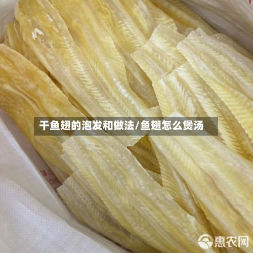 干鱼翅的泡发和做法/鱼翅怎么煲汤-第3张图片
