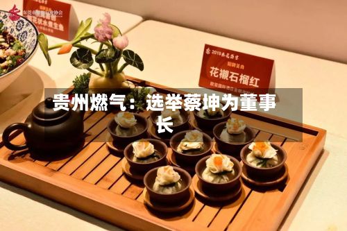 贵州燃气：选举蔡坤为董事长-第1张图片