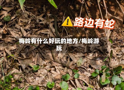 梅岭有什么好玩的地方/梅岭游玩