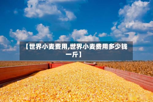【世界小麦费用,世界小麦费用多少钱一斤】