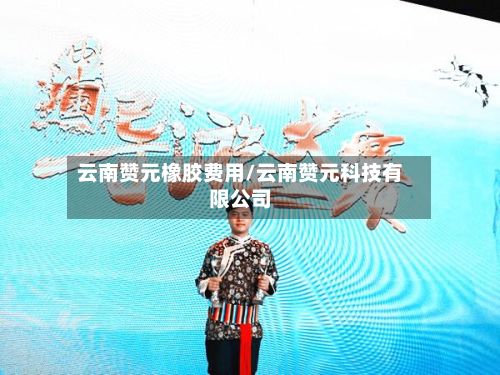 云南赞元橡胶费用/云南赞元科技有限公司