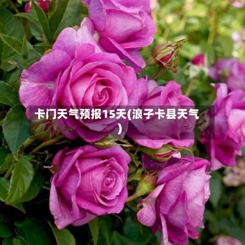 卡门天气预报15天(浪子卡县天气)-第3张图片
