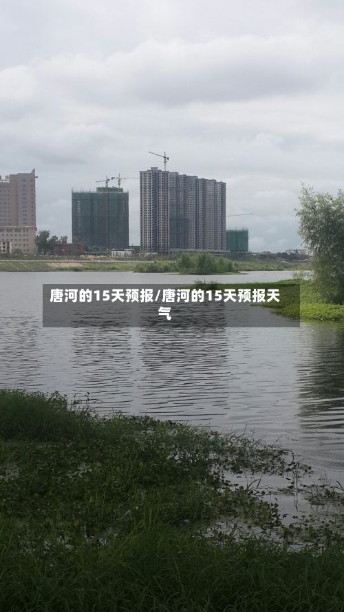 唐河的15天预报/唐河的15天预报天气