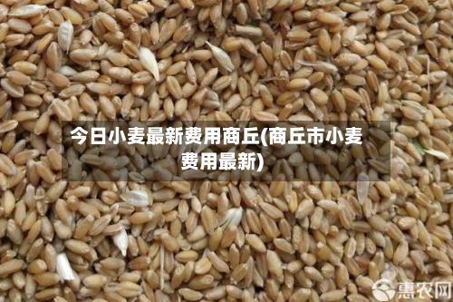 今日小麦最新费用商丘(商丘市小麦费用最新)