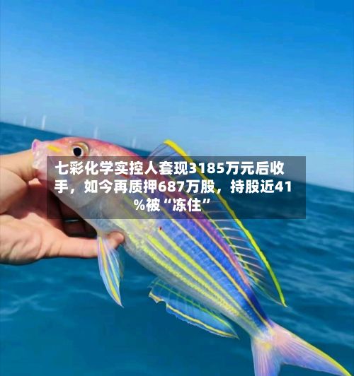 七彩化学实控人套现3185万元后收手，如今再质押687万股，持股近41%被“冻住”-第1张图片