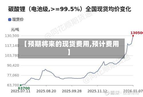 【预期将来的现货费用,预计费用】