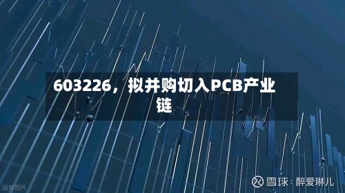 603226，拟并购切入PCB产业链