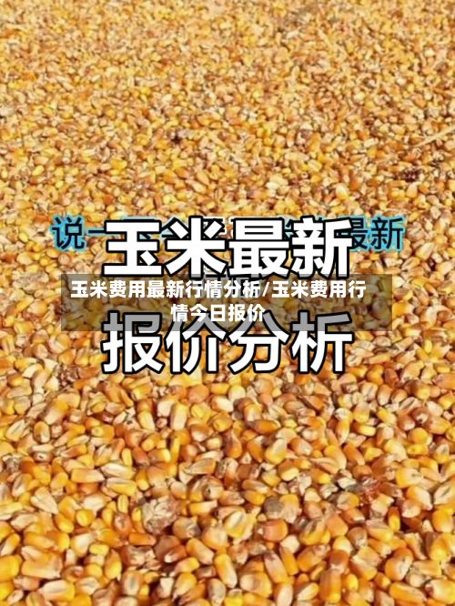 玉米费用最新行情分析/玉米费用行情今日报价