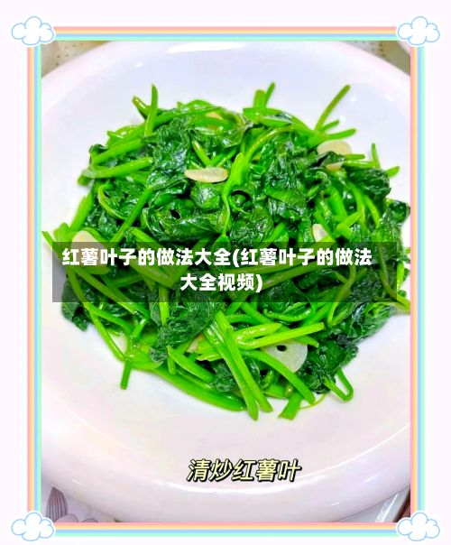 红薯叶子的做法大全(红薯叶子的做法大全视频)-第2张图片