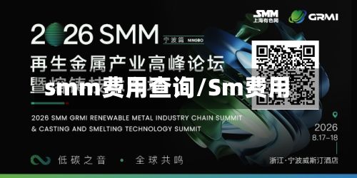 smm费用查询/Sm费用-第2张图片