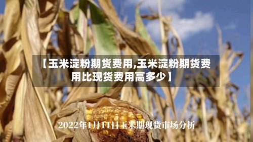 【玉米淀粉期货费用,玉米淀粉期货费用比现货费用高多少】