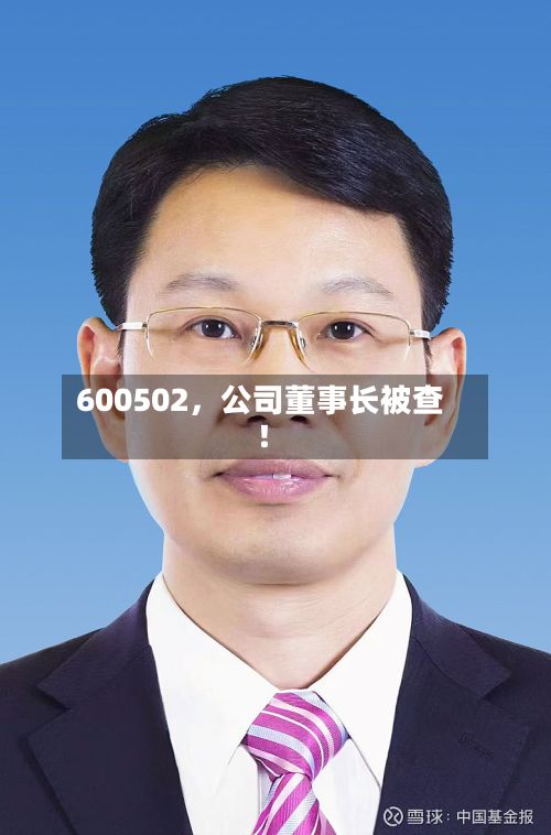 600502，公司董事长被查！-第3张图片