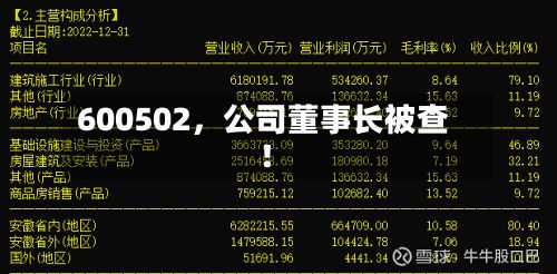 600502	，公司董事长被查！-第2张图片