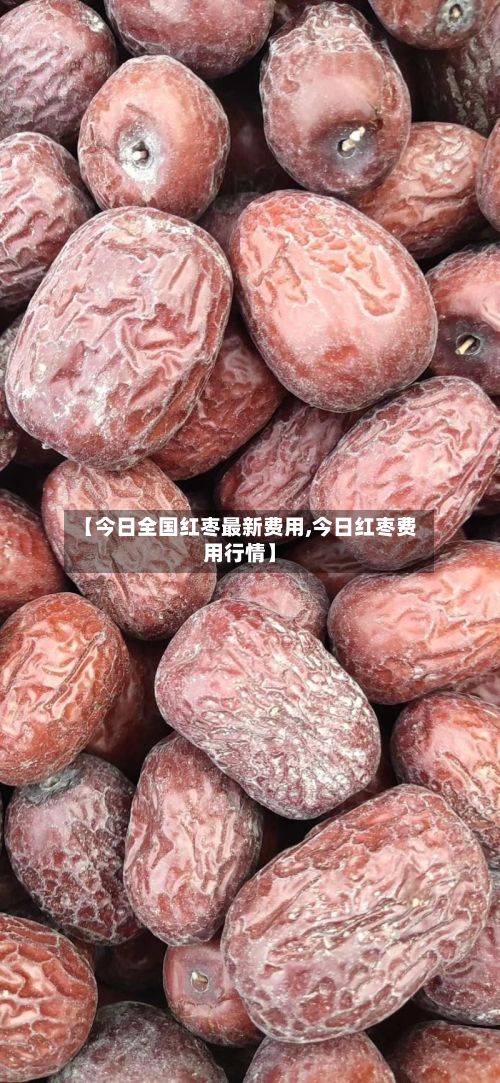 【今日全国红枣最新费用,今日红枣费用行情】-第3张图片